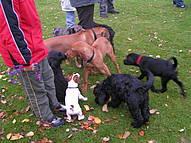 Click on the photo for the original