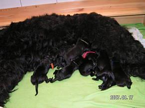 Click on the photo for the original