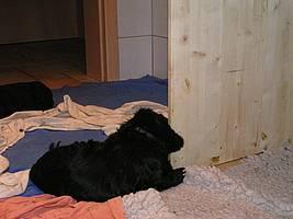 Click on the photo for the original