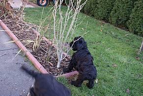 Click on the photo for the original