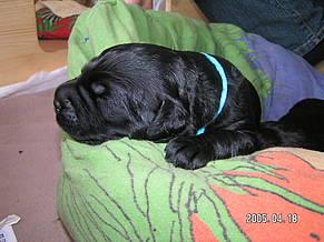 Click on the photo for the original