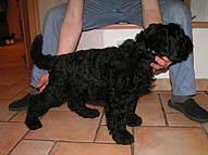 Click on the photo for the original