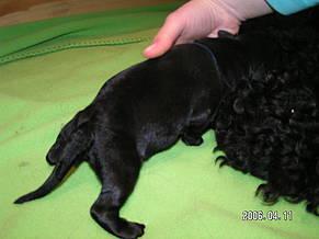 Click on the photo for the original