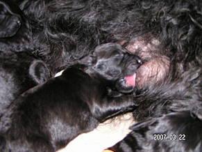 Click on the photo for the original