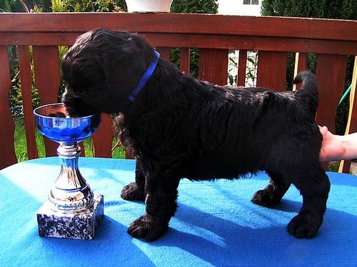 Click on the photo for the original