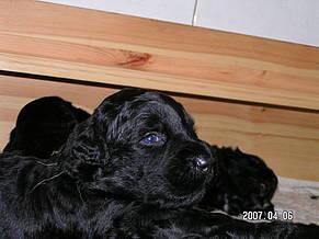 Click on the photo for the original