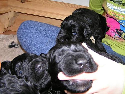 Click on the photo for the original