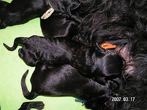 Click on the photo for the original