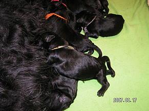 Click on the photo for the original