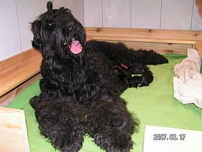 Click on the photo for the original