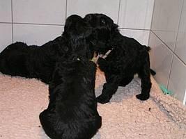 Click on the photo for the original