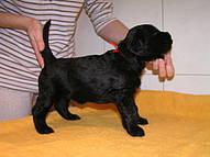 Click on the photo for the original