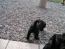 Click on the photo for the original