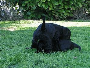 Click on the photo for the original