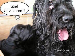 Click on the photo for the original