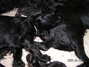 Click on the photo for the original