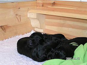 Click on the photo for the original