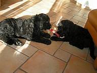 Click on the photo for the original