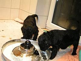 Click on the photo for the original