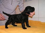 Click on the photo for the original