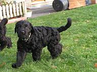 Click on the photo for the original