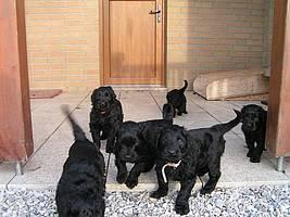 Click on the photo for the original