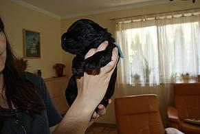 Click on the photo for the original