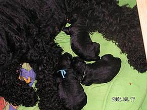 Click on the photo for the original