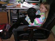 Click on the photo for the original