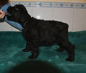 Click on the photo for the original