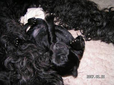 Click on the photo for the original