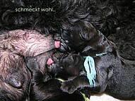 Click on the photo for the original