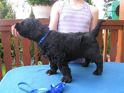 Click on the photo for the original