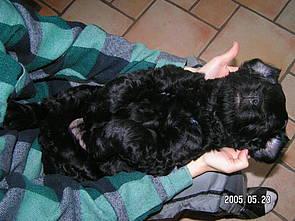 Click on the photo for the original