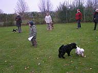 Click on the photo for the original