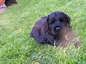 Click on the photo for the original