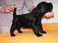 Click on the photo for the original