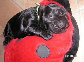 Click on the photo for the original