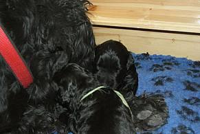 Click on the photo for the original