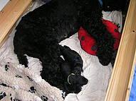 Click on the photo for the original