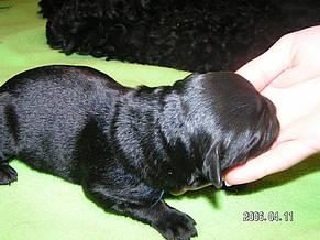 Click on the photo for the original