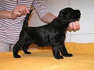 Click on the photo for the original