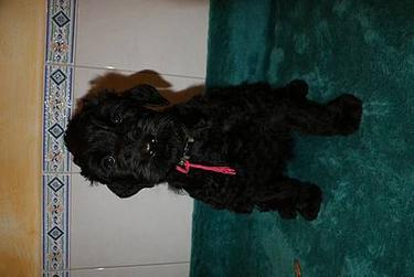 Click on the photo for the original