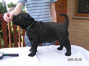 Click on the photo for the original