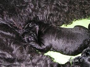 Click on the photo for the original