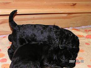 Click on the photo for the original