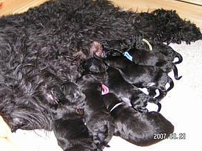 Click on the photo for the original