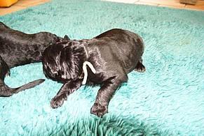 Click on the photo for the original