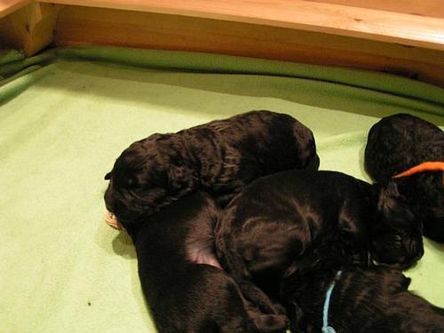 Click on the photo for the original