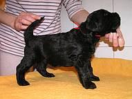 Click on the photo for the original